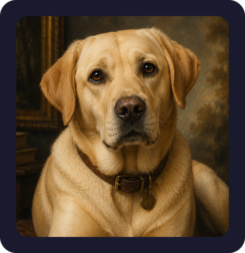 Labrador Portraits