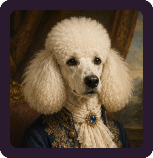 Poodle Portraits